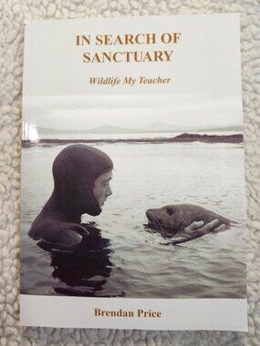 In Search Of Sanctuary Wildlife My Teacher Brendan Price Paperback 2021 Cornelio